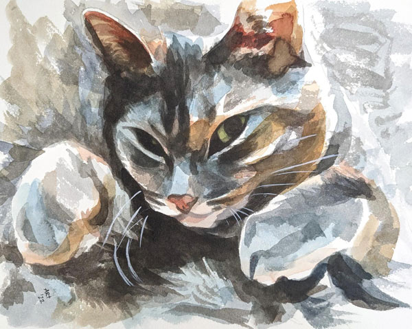 cat watercolor art