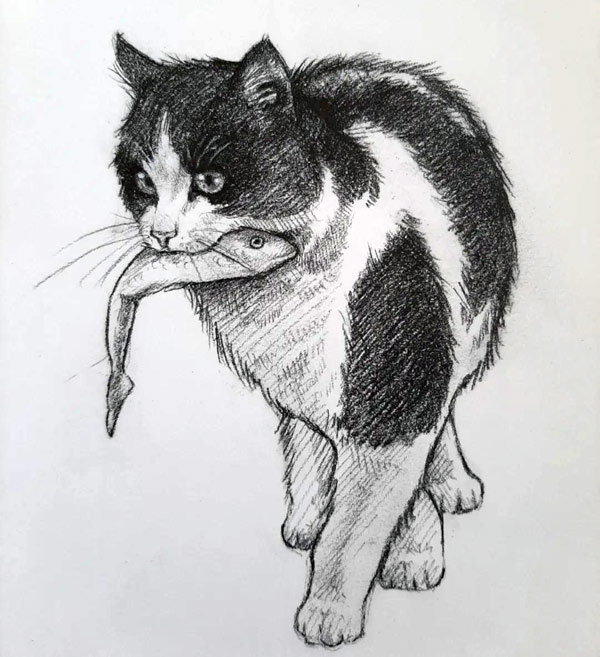 cat with fish charcoal