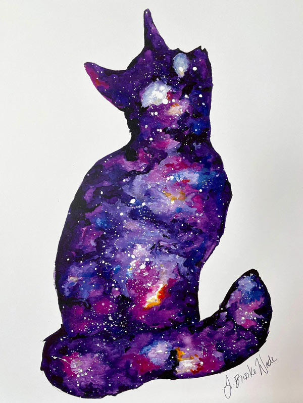 galaxy cat art