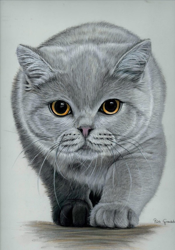 gray stalking cat art