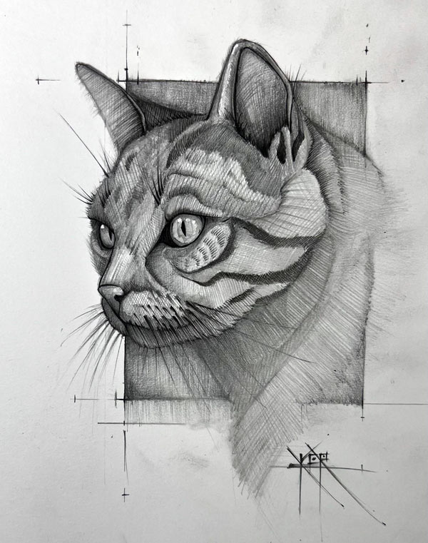 pen and pencil cat art