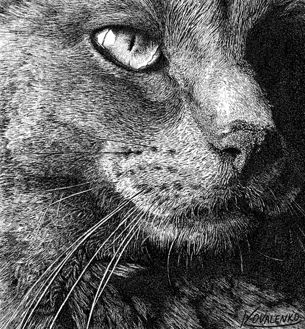 line art cat black and white art