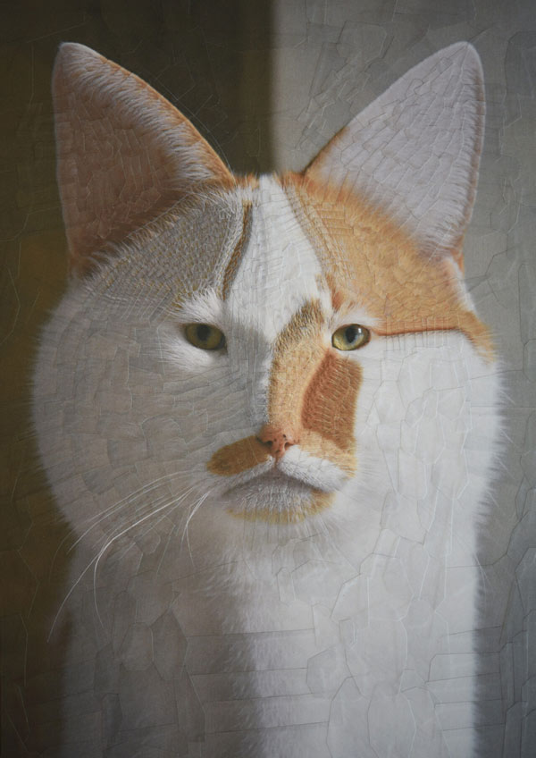 fiber cat art