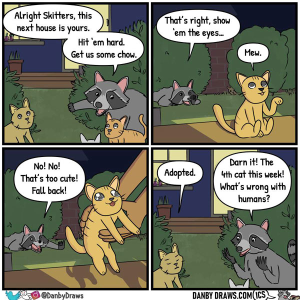 adopted cat comic