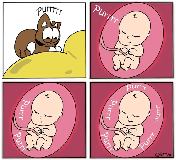 cat and babies comic