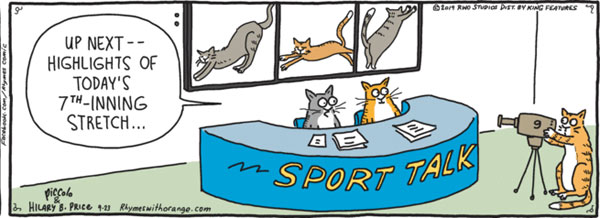 baseball cat comic