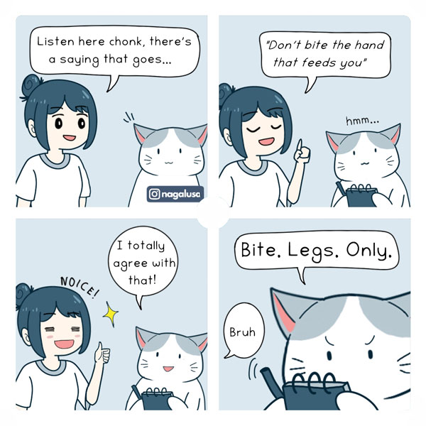 bitey cat comic