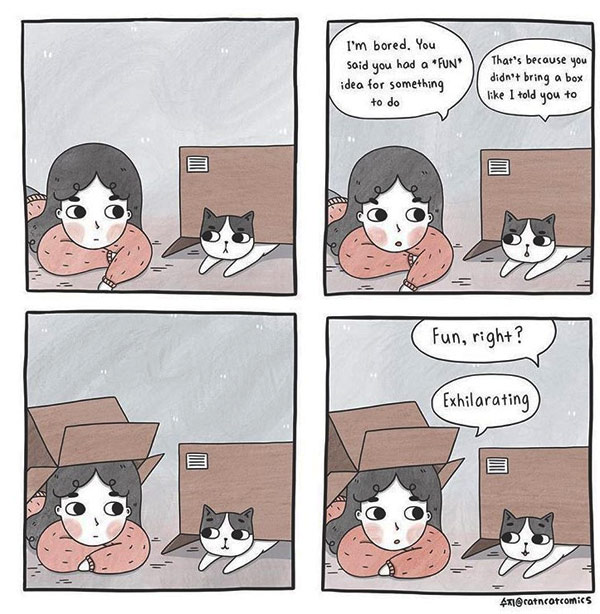 boxes and cats comic