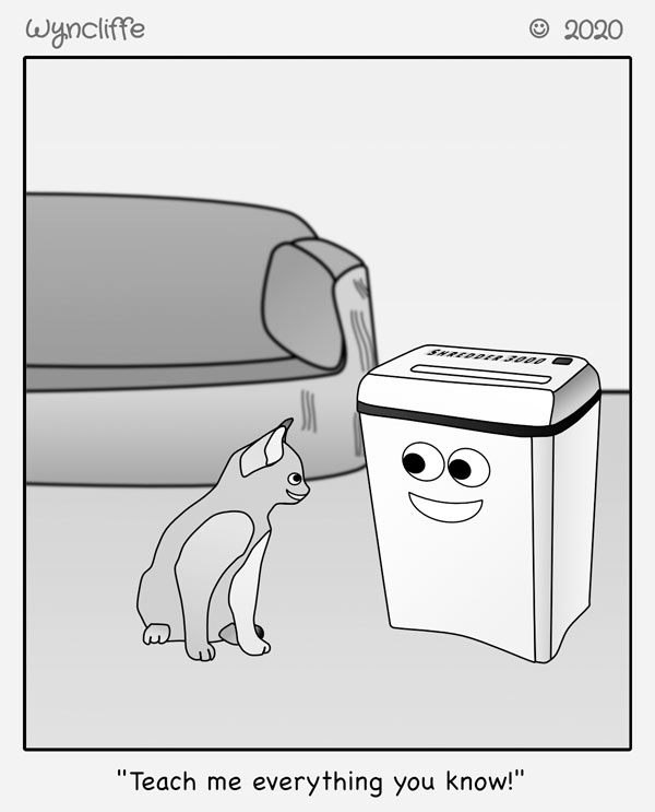cat and shredder comic