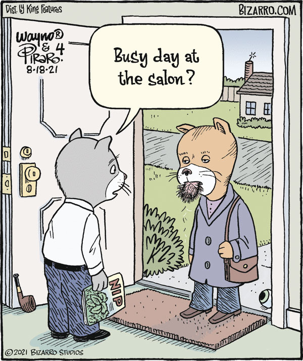 cat barber comic