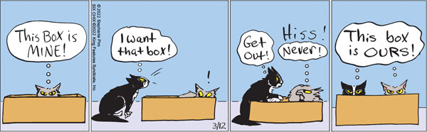 cat box comic
