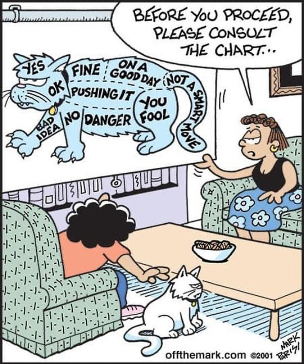 cat chart comic
