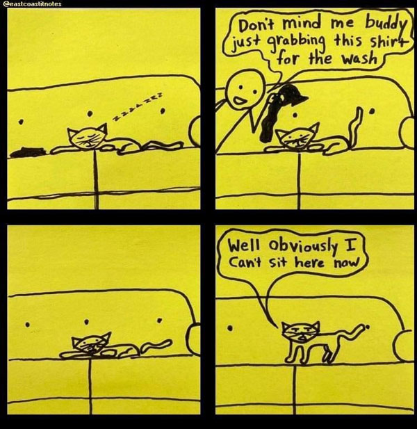 cat laying on clothes comic