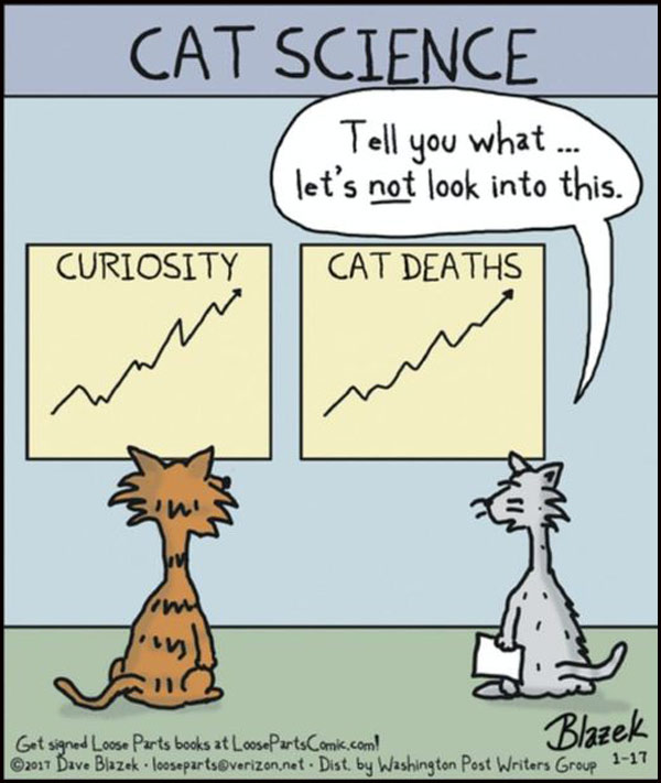 curiosity cat comic