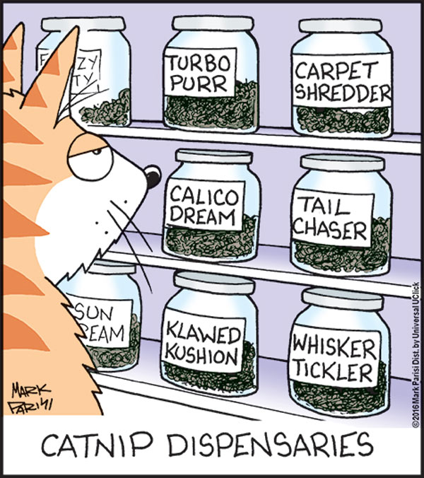 cat dispensary comic