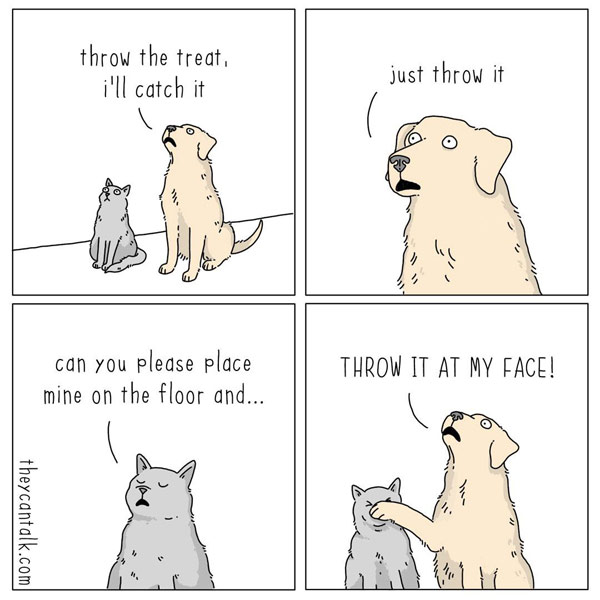 cats dog treats comic