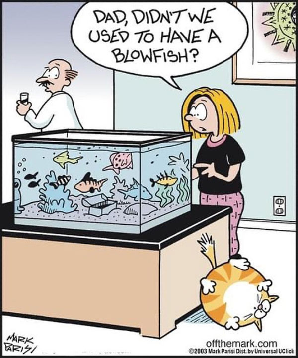 cat eats blowfish  comic