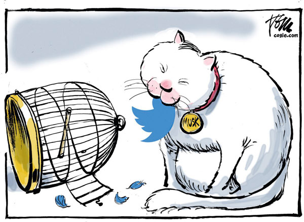 mush cat eats twitter comic