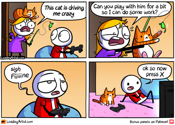playing games with a cat