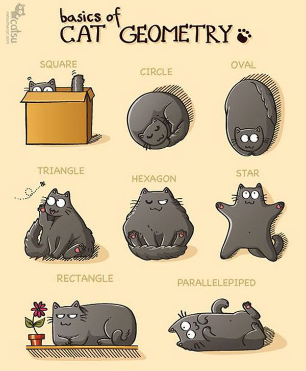 cat geometry comic