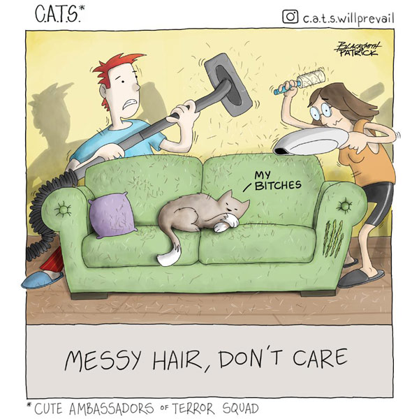 cat haircomic