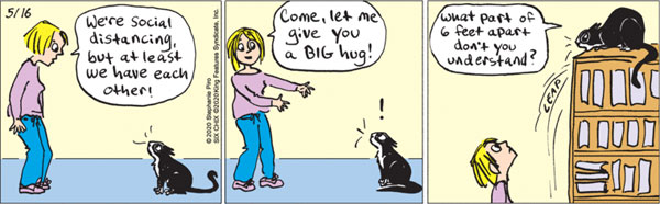 cat hug comic
