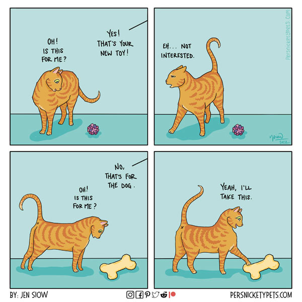 cat logic comic