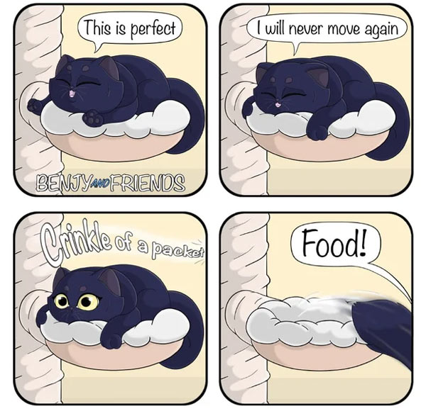 cats love food comic