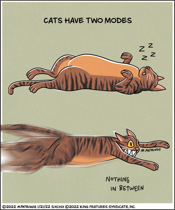 cat modes comic