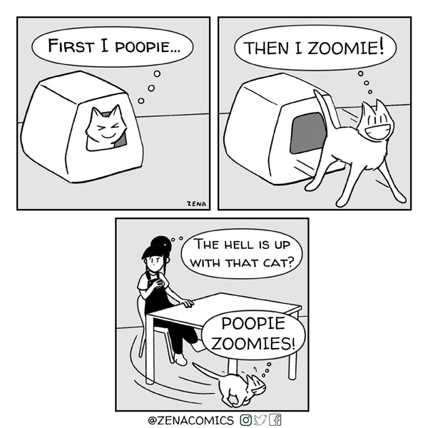 cat zoomies comic