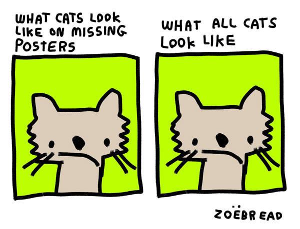 lost cat poster comic