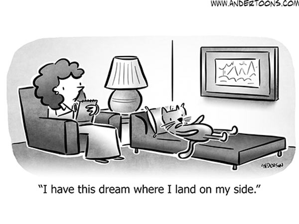 cat and psychiatrist comic