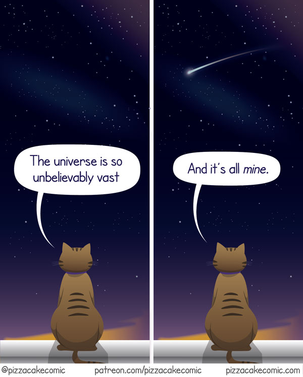 space cat comic