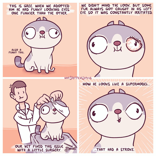 cat surgery comic