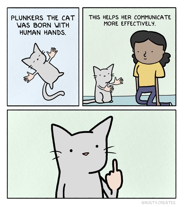 rude cat comic
