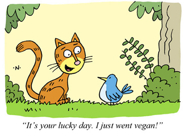 vegan cat comic