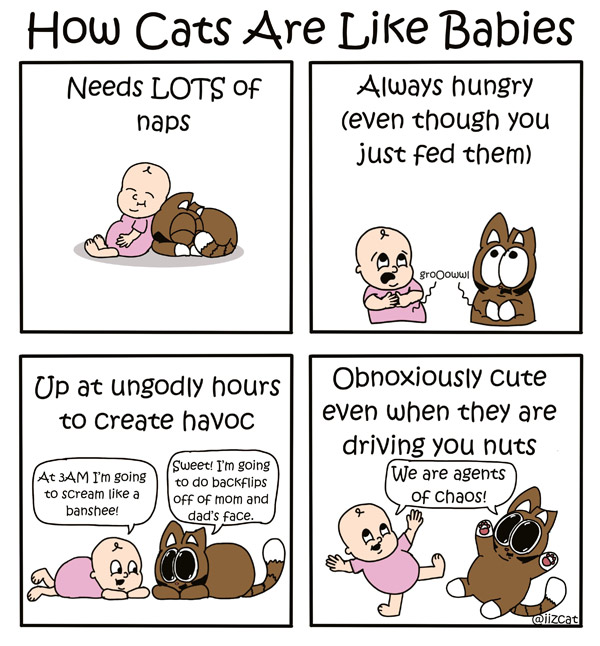 cats and babies comic