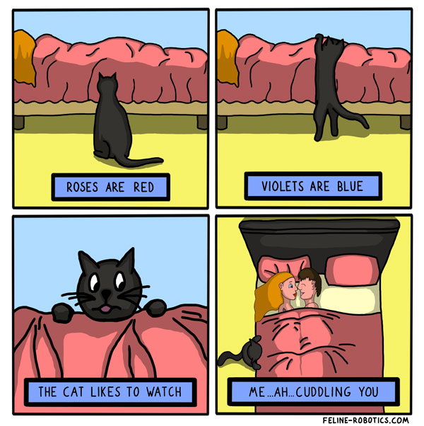 cats and sex comic