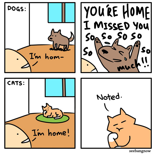 cats don't care comic