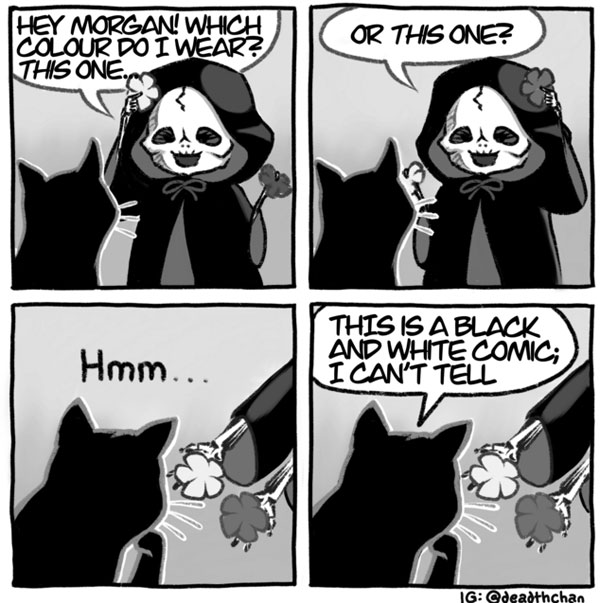 colorblind cat  comic
