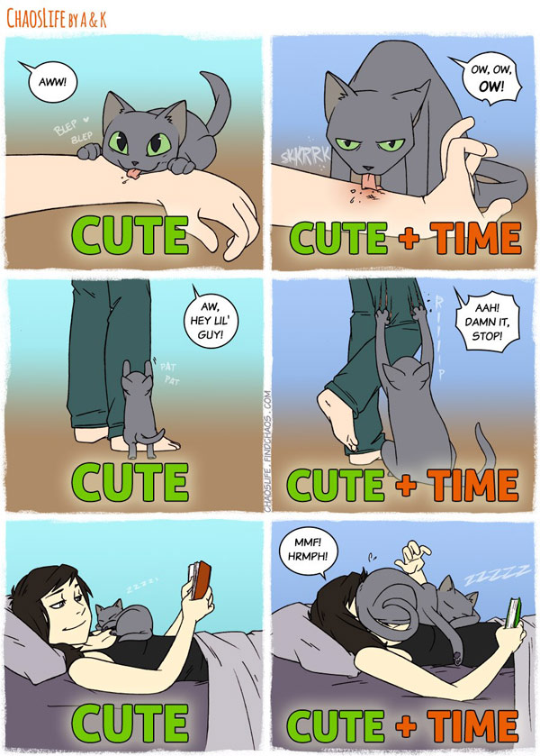 cute cats over time comic