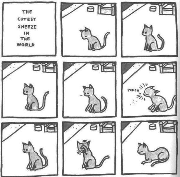cute kitten sneeze comic