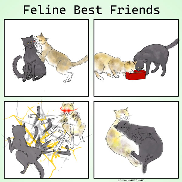 cat best friends comic