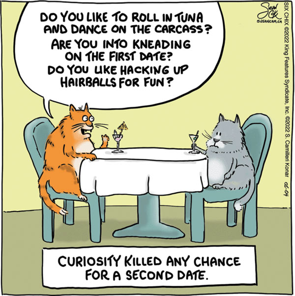 first date  cat comic