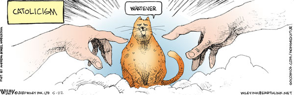 god creates cat comic