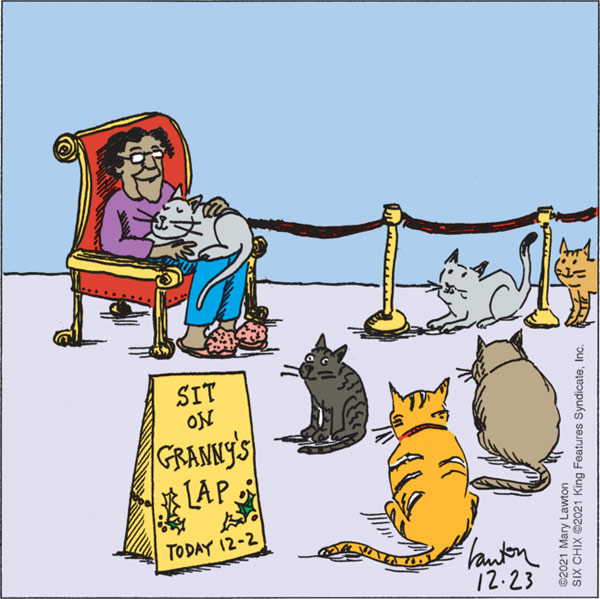 granny santa cat comic