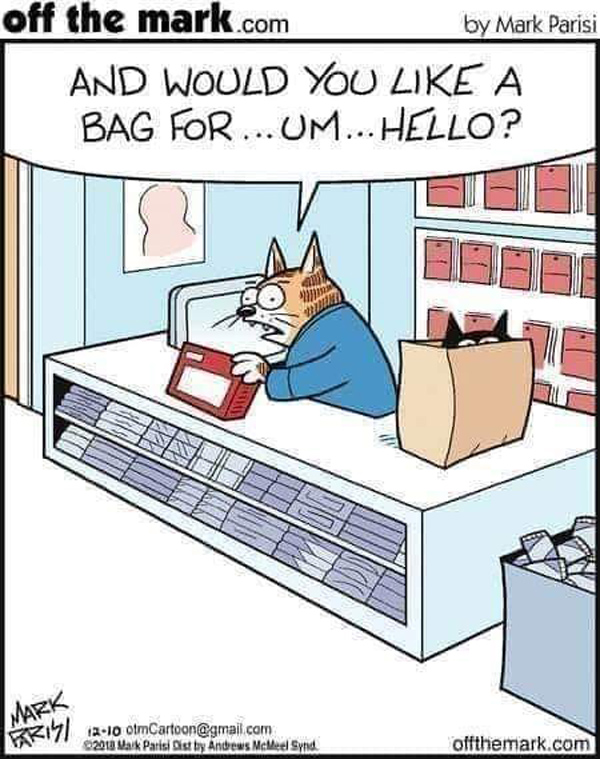 grocery bag cat comic