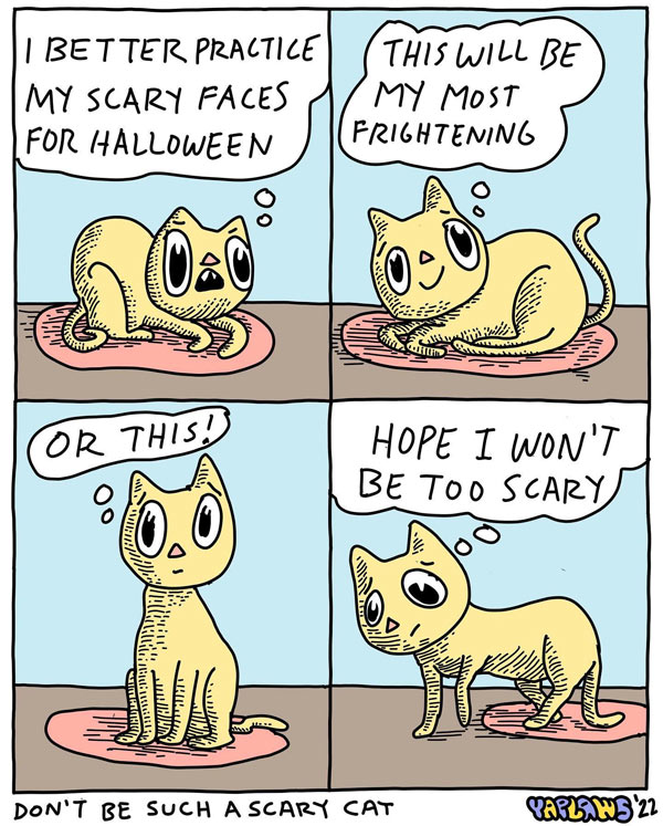 scary halloween cat