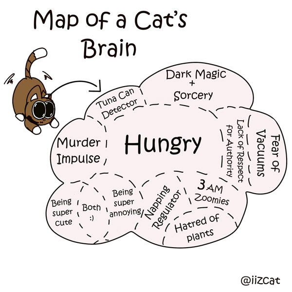 inside a cat's brain comic
