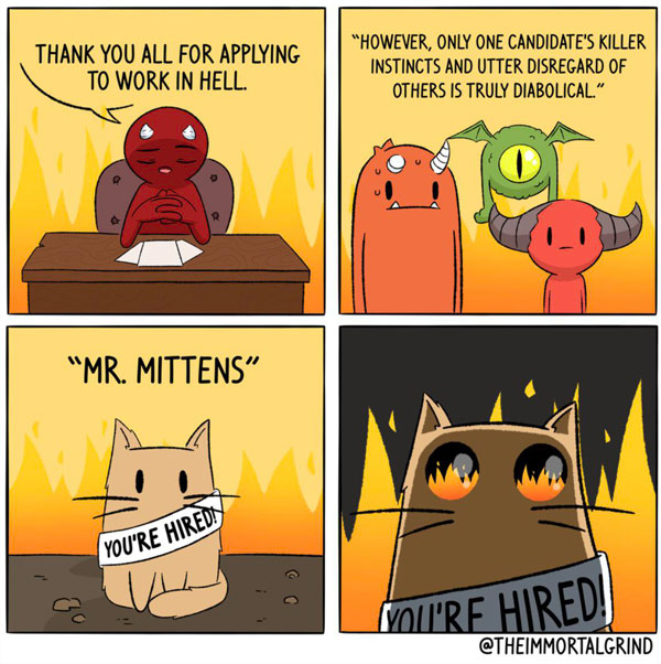 cat hell comic